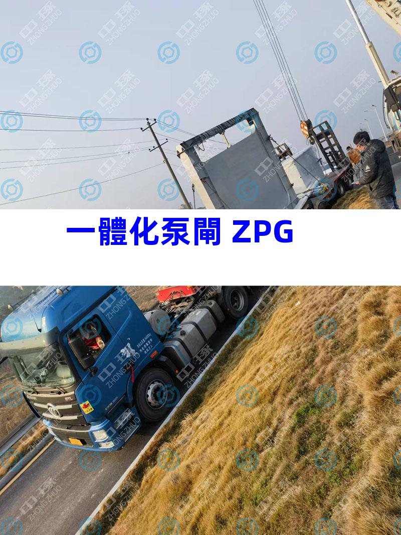 一體化泵閘 ZPG